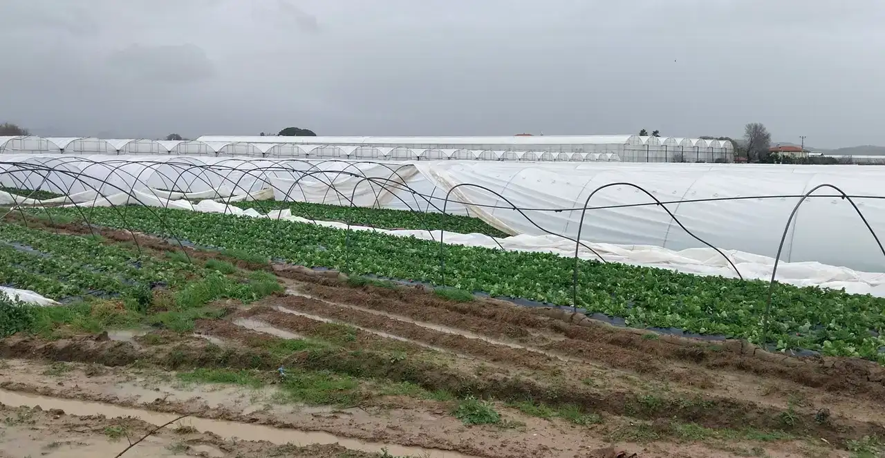 Manavgat’ın 3 Mahallesinde Hortum Felaketi: 1 Yaralı 8